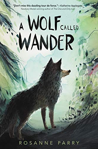 A Wolf Called Wander is one of the best books for tween boys worth reading. Check out the entire list of books for tween boys from book bloggers, We Read Tween Books.